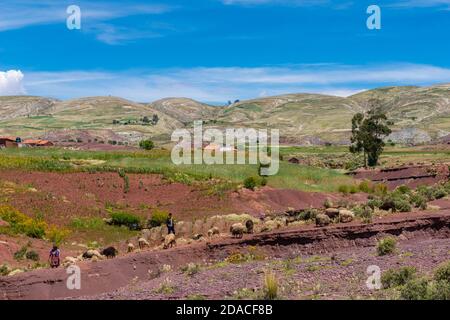 Landwirtschaftliche Landschaft in der Region Maragua, Departemento Sucre, Cordillera Central, Anden, Bolivien, Lateinamerika Stockfoto
