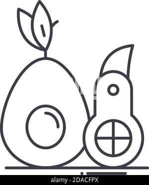 Avocado Slicer Symbol, lineare isolierte Illustration, dünne Linie Vektor, Web-Design-Zeichen, Umriss Konzept Symbol mit editierbarer Kontur auf weißem Hintergrund. Stock Vektor