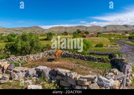 Landwirtschaftliche Landschaft in der Region Maragua, Departemento Sucre, Cordillera Central, Anden, Bolivien, Lateinamerika Stockfoto