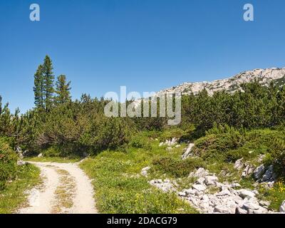 Alpine Karst- und Gletscherlandschaft auf dem Dachsteinplateau Stockfoto