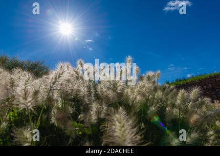 Maragua Region, Departemento Sucre, Cordillera Central, Anden, Bolivien, Lateinamerika Stockfoto