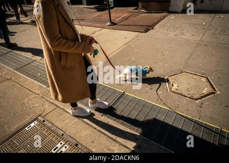 Frauen mit ihrem Dackel-Welpen in Soho in New York am Samstag, 31. Oktober 2020. (© Richard B. Levine) Stockfoto