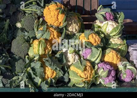 Blumenkohl (Brassica oleracea) auf Farmer's Market, E USA, von James D Coppinger/Dembinsky Photo Assoc Stockfoto