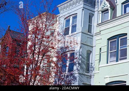 Herbst in einem Vorort von Washington DC, USA. Morgensonne hebt kunstvolle architektonische Merkmale der Hausfassaden. Stockfoto