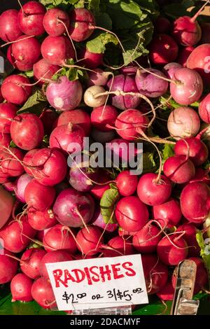 Radieschen, Farmer's Market, E USA, von James D. Coppinger/Dembinsky Photo Assoc Stockfoto