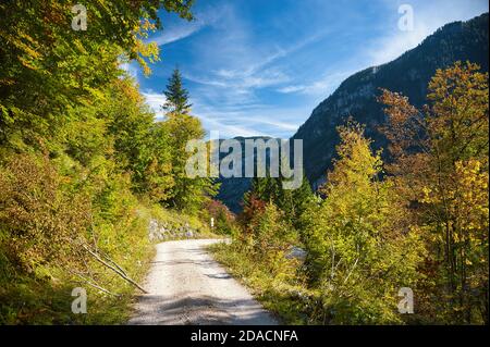 Herbststimmung im Bluntauer Tal Stockfoto