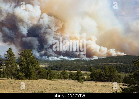 Großes Waldfeuer in Pike National Forest, Colorado in der Nähe des Westin Passes Stockfoto