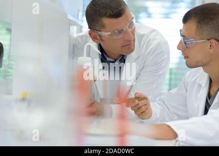 Wissenschaftler diskutieren Ergebnisse des Experiments mit männlichen Kollegen Stockfoto