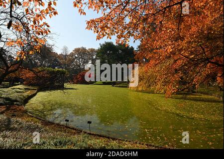 Herbst - Brooklyn Botanic Garden, Japanese Hill & Pond Garden Stockfoto