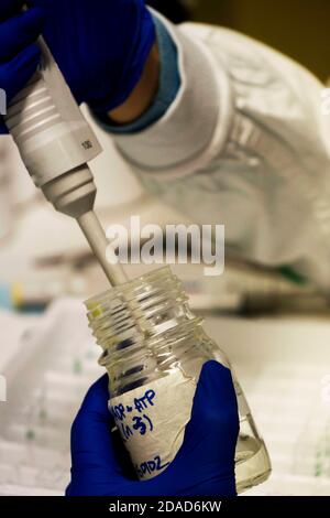 Melbourne, Australien. Oktober 2018. Wissenschaftler reichen Nitrilhandschuhe mit einer Pipette ein und übertragen Reagenzien während der Durchführung wissenschaftlicher Tests in einem medizinischen Forschungslabor am Alfred (Krankenhaus), das an innovativer Forschung in der Gastroenterologie beteiligt ist. Quelle: Alexander Bogatirev/SOPA Images/ZUMA Wire/Alamy Live News Stockfoto