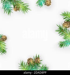 Kiefernäste isoliert auf weiß. Vektorgrafik. Stock Vektor