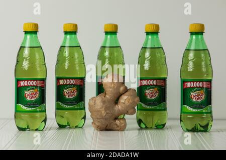 ALBERTA, KANADA 11. November 2020: Plastikflasche 710 ML Canada Dry Ginger Ale.mit einer Ingwerwurzel davor. Stockfoto