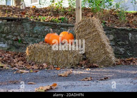 Drei leuchtend orange Kürbisse auf einem Heuballen in Front Eines Holzpols Stockfoto