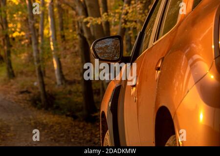 SUV fährt im Herbst auf einer Forststraße Stockfoto