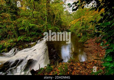 Der Fluss Cabra im Dun A Ri Forest Park, County Cavan, Irland Stockfoto