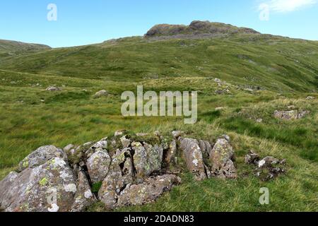 Sommer Blick auf Little Hart Crag Fell, Hartsop Valley, Kirkstone Pass, Lake District National Park, Cumbria, England, UK Little Hart Crag Fell ist ein o Stockfoto