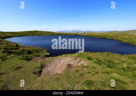 Sommeransicht von Red Screes Tarn, Kirkstone Pass, Lake District National Park, Cumbria, England, UK Red Screes Fell ist einer der 214 Wainwright Fjells. Stockfoto