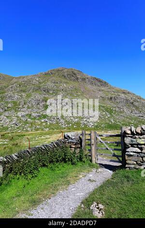 Sommeransicht von Red Screes Fell, Kirkstone Pass, Lake District National Park, Cumbria, England, UK Red Screes Fell ist einer der 214 Wainwright Fells. Stockfoto