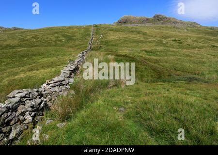 Sommer Blick auf Little Hart Crag Fell, Hartsop Valley, Kirkstone Pass, Lake District National Park, Cumbria, England, UK Little Hart Crag Fell ist ein o Stockfoto