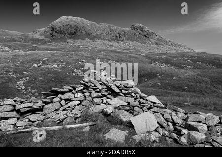 Sommer Blick auf Little Hart Crag Fell, Hartsop Valley, Kirkstone Pass, Lake District National Park, Cumbria, England, UK Little Hart Crag Fell ist ein o Stockfoto