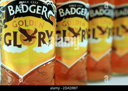 Bierflaschen Badger Golden Glory Stockfoto