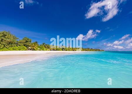 Tropische Strandlandschaft, erstaunliche Lagune, exotische Natur Muster. Weißer Sand, Palmen unter sonnenblauem Himmel. Idyllische, entspannende Strand Naturlandschaft