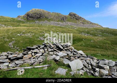 Sommer Blick auf Little Hart Crag Fell, Hartsop Valley, Kirkstone Pass, Lake District National Park, Cumbria, England, UK Little Hart Crag Fell ist ein o Stockfoto