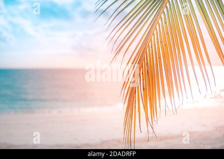 Sonnenstrahlen bei Sonnenuntergang, Balken über Palmblättern und Meereslandschaft. Tropisches Strandmuster, Blick auf die Zen-Natur. Inspirierende Sommer Strandlandschaft, positive Vibes Stockfoto