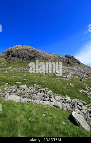 Sommer Blick auf Little Hart Crag Fell, Hartsop Valley, Kirkstone Pass, Lake District National Park, Cumbria, England, UK Little Hart Crag Fell ist ein o Stockfoto