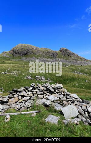 Sommer Blick auf Little Hart Crag Fell, Hartsop Valley, Kirkstone Pass, Lake District National Park, Cumbria, England, UK Little Hart Crag Fell ist ein o Stockfoto