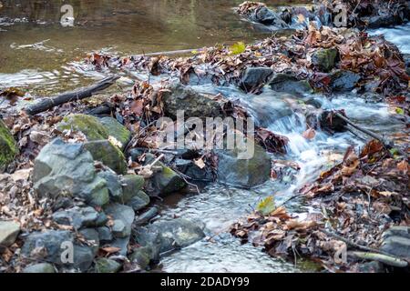 Waldbach fließt um Felsen und bunte Herbstblätter. Stockfoto