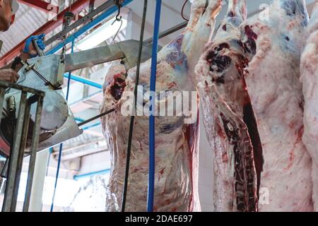 Metzger arbeiten in der Fleischindustrie, Fleischkäfer werden in einem Schlachthof geschnitten und an Haken gehängt. Stockfoto
