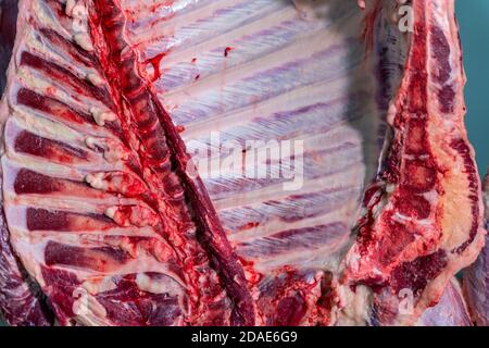 Nahaufnahme von Rippenfleisch, das im Schlachthof, in der Fleischindustrie hängt. Stockfoto