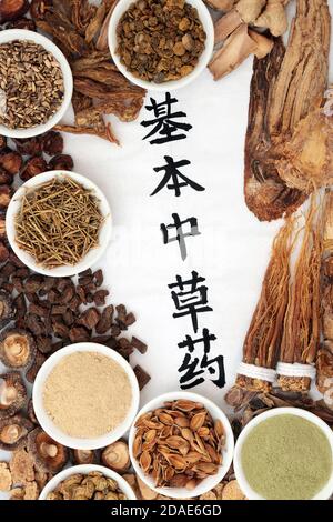 Chinesische fundamentale Kräuter werden regelmäßig in der Kräutermedizin mit Kalligrafie-Schrift verwendet.Übersetzung liest sich als chinesische fundamentale Kräuter. Stockfoto