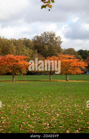 Battersea Park im Herbst, London Großbritannien Stockfoto