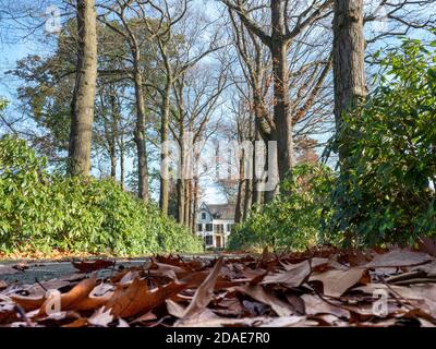 De poort van Villa Sphagnum in Griendtsveen Stockfoto