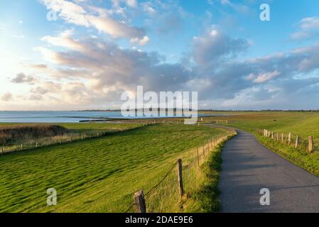 Landschaft auf der Dockkoogspitze, Husum, Schleswig-Holstein, Deutschland, Europa Stockfoto