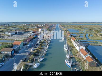 Frankreich, Charente Maritime, La Tremblade, Seudre Fluss und la Greve Auster Hafen (Luftbild) Stockfoto