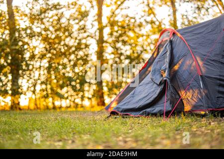 Schöne Sonnenstrahlen durch den Wald Blätter, Bäume. Frühling Sommer Natur Wiese verschwommen Landschaft. Morgenschatten und Lichter, Wandern, Freizeit Stockfoto