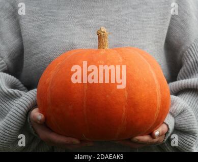 Frau hält großen Kürbis in den Händen, halloween-Thema, Herbsternte, Frauen Hände Stockfoto