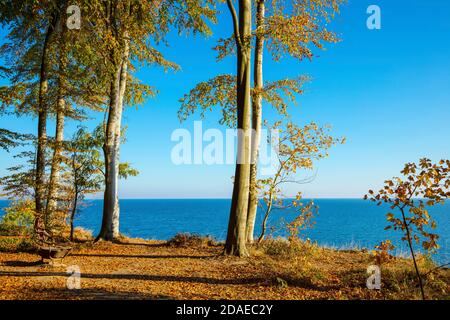 Schleswig-Holstein, Brodtener Steiufer bei Travemünde. Blick auf die Ostsee im Herbst. Stockfoto