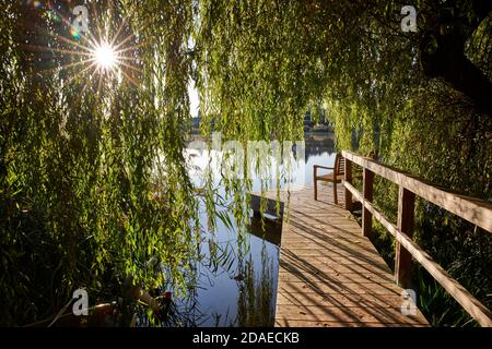 Steg, Weide, Bank Stockfoto