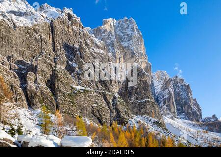 Die Wand des Berges Moiazza aus Sicht von Corpassa Tal, Civetta Gruppe, Agordino, Dolomiten, Belluno, Venetien, Italien, Europa Stockfoto