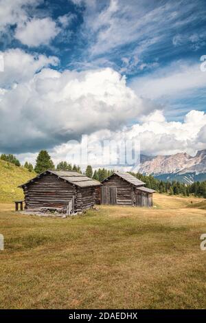 Traditionelle Almhütten auf den pralongià Almen, im Hintergrund der Sass dla Crusc (Heiligkreuzkofel), gadertal, Südtirol, dolomiten, italien, europa Stockfoto