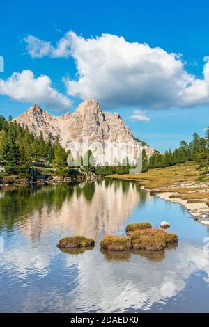 Alpe di Fanes / Fanes Alm, der Berg Cima Forca di Ferro / Eisengabelspitze im Wasser reflektiert, Dolomiten von Fanes Sennes Prags, St. Vigil in Enneberg, Bozen, Südtirol, Italien, Europa, Stockfoto