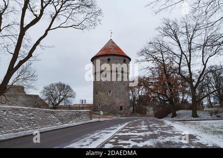 TALLINN, ESTLAND - 20. DEZEMBER 2019: Verschneite Stadtlandschaft zur Zeit des traditionellen Weihnachtsfestes Stockfoto