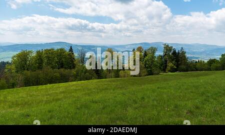 Wiese mit Bäumen auf Bahenec in Slezske Beskiden mit Hügel der Moravskoslezske Beskiden auf dem Hintergrund in tschechischer Sprache republik während b Stockfoto