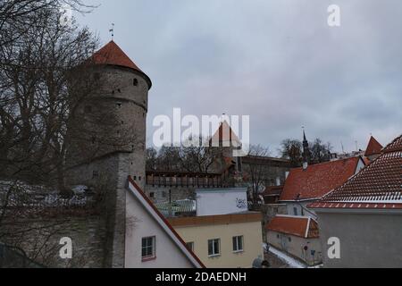 TALLINN, ESTLAND - 20. DEZEMBER 2019: Verschneite Stadtlandschaft zur Zeit des traditionellen Weihnachtsfestes Stockfoto