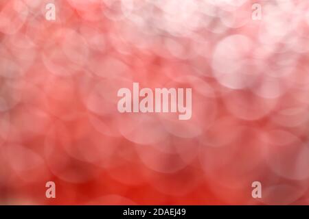 Der Hintergrund ist fokussiert, hellrot. Bokeh ist groß und durchscheinend, mit einem getönten glatten Übergang. Stockfoto