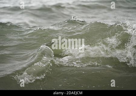 Nahaufnahme von brechenden Wellen an der Küste an einem bewölkten Tag, Andalusien, Spanien. Stockfoto